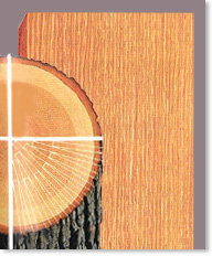 ... Rift sawn hardwood lumber